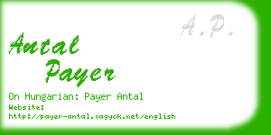 antal payer business card